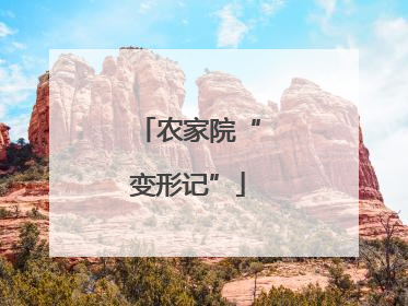 农家院“变形记”