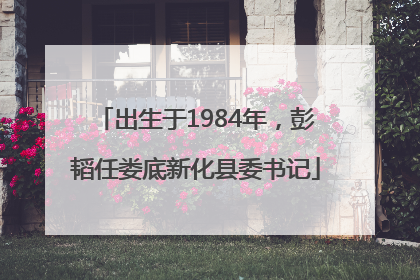 出生于1984年，彭韬任娄底新化县委书记