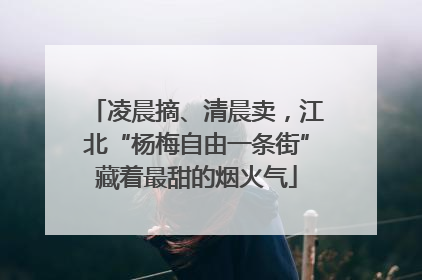 凌晨摘、清晨卖，江北“杨梅自由一条街”藏着最甜的烟火气