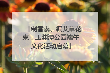 制香囊、编艾草花束，玉渊潭公园端午文化活动启幕