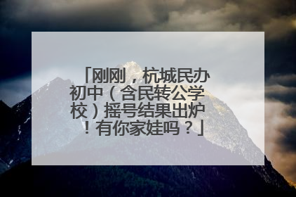 刚刚，杭城民办初中（含民转公学校）摇号结果出炉！有你家娃吗？