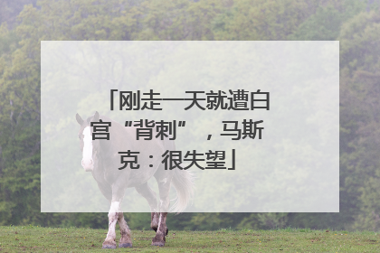 刚走一天就遭白宫“背刺”，马斯克：很失望