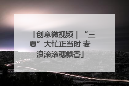 创意微视频｜“三夏”大忙正当时 麦浪滚滚穗飘香