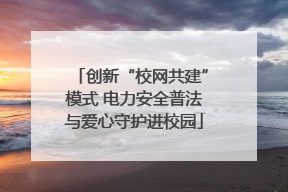 创新“校网共建”模式 电力安全普法与爱心守护进校园