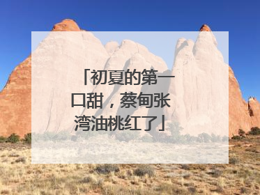 初夏的第一口甜，蔡甸张湾油桃红了