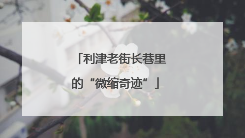 利津老街长巷里的“微缩奇迹”