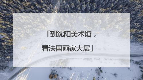 到沈阳美术馆，看法国画家大展