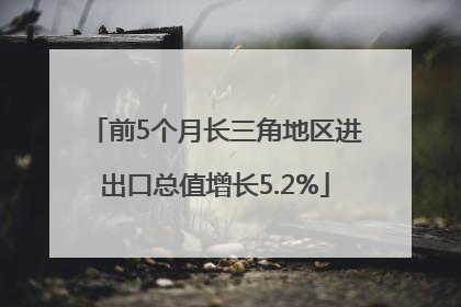 前5个月长三角地区进出口总值增长5.2%