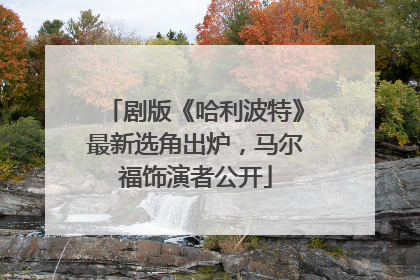 剧版《哈利波特》最新选角出炉，马尔福饰演者公开