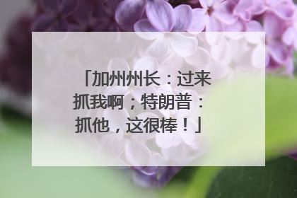 加州州长：过来抓我啊；特朗普：抓他，这很棒！
