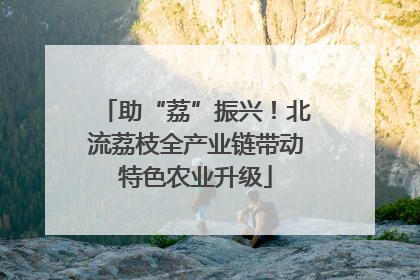 助“荔”振兴！北流荔枝全产业链带动特色农业升级