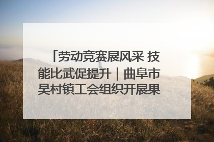 劳动竞赛展风采 技能比武促提升｜曲阜市吴村镇工会组织开展果树套袋技能竞赛