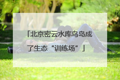 北京密云水库鸟岛成了生态“训练场”