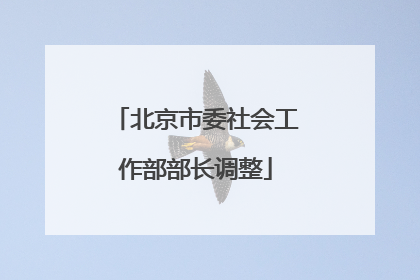 北京市委社会工作部部长调整
