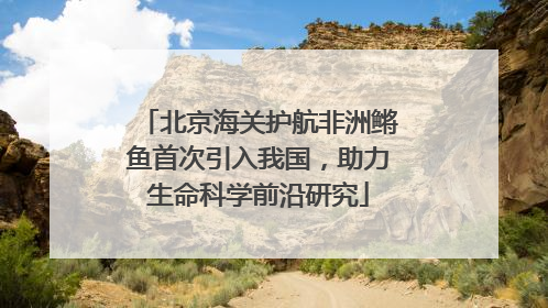 北京海关护航非洲鳉鱼首次引入我国，助力生命科学前沿研究