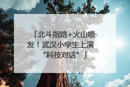 北斗指路+火山喷发！武汉小学生上演“科技对话”