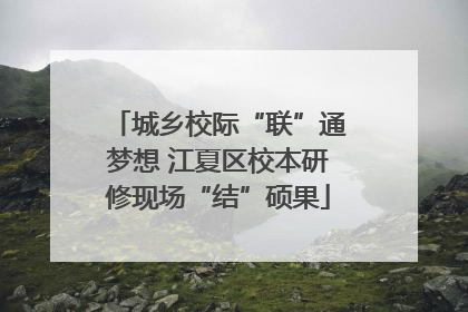 城乡校际“联”通梦想 江夏区校本研修现场“结”硕果
