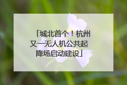 城北首个！杭州又一无人机公共起降场启动建设