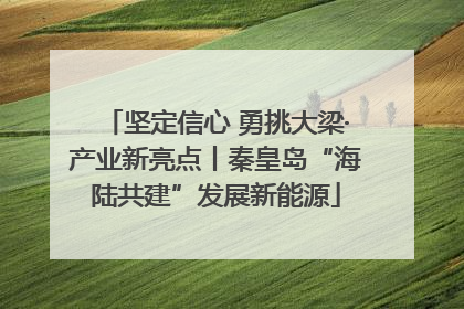 坚定信心 勇挑大梁·产业新亮点丨秦皇岛“海陆共建”发展新能源