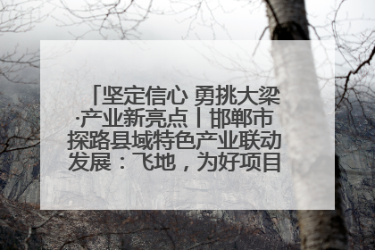 坚定信心 勇挑大梁·产业新亮点丨邯郸市探路县域特色产业联动发展：飞地，为好项目跨域安个家