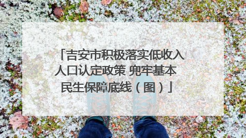 吉安市积极落实低收入人口认定政策 兜牢基本民生保障底线（图）
