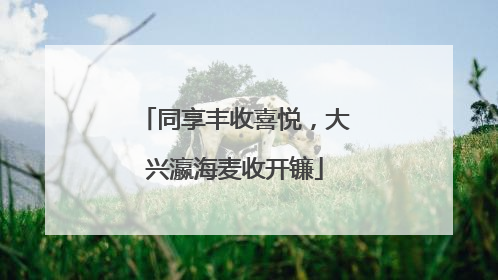同享丰收喜悦，大兴瀛海麦收开镰