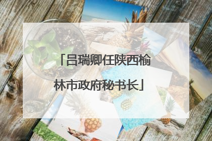 吕瑞卿任陕西榆林市政府秘书长