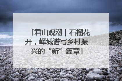 君山观潮｜石榴花开，峄城谱写乡村振兴的“新”篇章