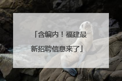 含编内！福建最新招聘信息来了
