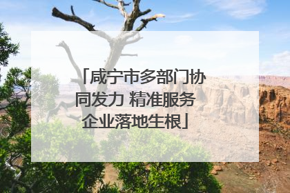 咸宁市多部门协同发力 精准服务企业落地生根