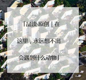 品读·原创｜在这里，永远想不出会遇到什么动物