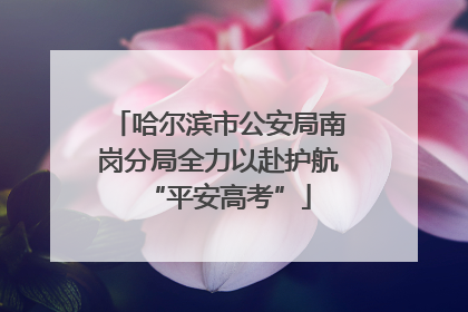哈尔滨市公安局南岗分局全力以赴护航“平安高考”