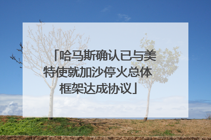 哈马斯确认已与美特使就加沙停火总体框架达成协议