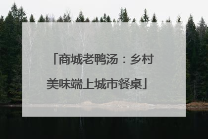 商城老鸭汤：乡村美味端上城市餐桌