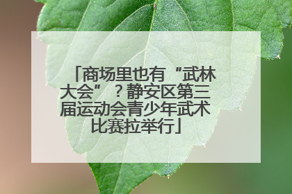 商场里也有“武林大会”？静安区第三届运动会青少年武术比赛拉举行