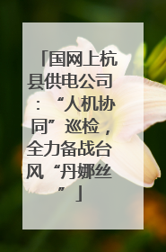 国网上杭县供电公司：“人机协同”巡检，全力备战台风“丹娜丝”