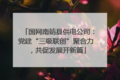 国网南靖县供电公司：党建“三级联创”聚合力，共促发展开新篇