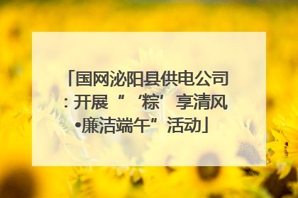 国网泌阳县供电公司：开展“‘粽’享清风 •廉洁端午”活动