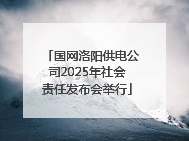 国网洛阳供电公司2025年社会责任发布会举行