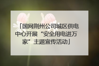 国网荆州公司城区供电中心开展“安全用电进万家”主题宣传活动