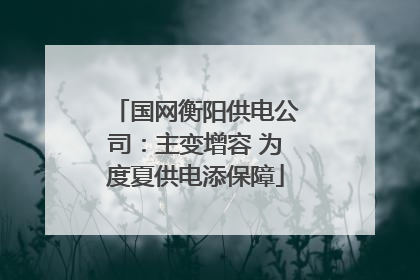 国网衡阳供电公司：主变增容 为度夏供电添保障
