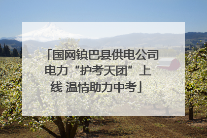 国网镇巴县供电公司 电力“护考天团”上线 温情助力中考