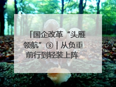 国企改革“头雁领航”③｜从负重前行到轻装上阵 重庆以“瘦身”谋“健体”