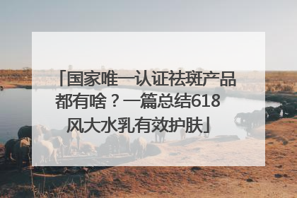 国家唯一认证祛斑产品都有啥？一篇总结618风大水乳有效护肤