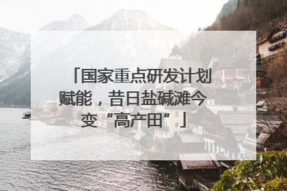 国家重点研发计划赋能，昔日盐碱滩今变“高产田”