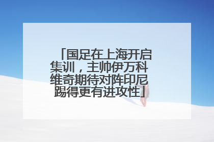 国足在上海开启集训，主帅伊万科维奇期待对阵印尼踢得更有进攻性