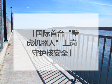 国际首台“壁虎机器人”上岗守护核安全