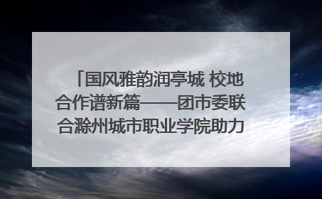 国风雅韵润亭城 校地合作谱新篇——团市委联合滁州城市职业学院助力传统文化“破圈”绽放