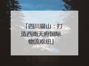 四川眉山：打造西南天府国际物流枢纽
