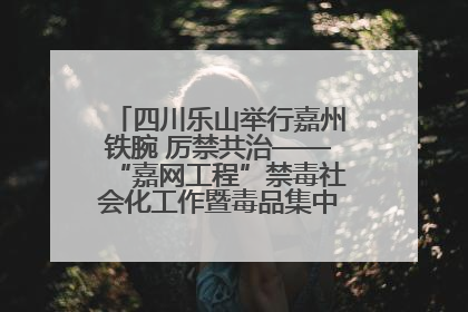 四川乐山举行嘉州铁腕 厉禁共治——“嘉网工程”禁毒社会化工作暨毒品集中销毁启动仪式